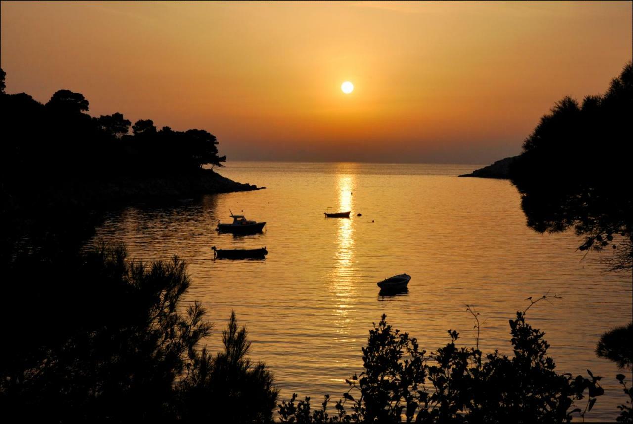 Authentic Ap For 2, Babino Polje,Mljet Apartment Exterior photo