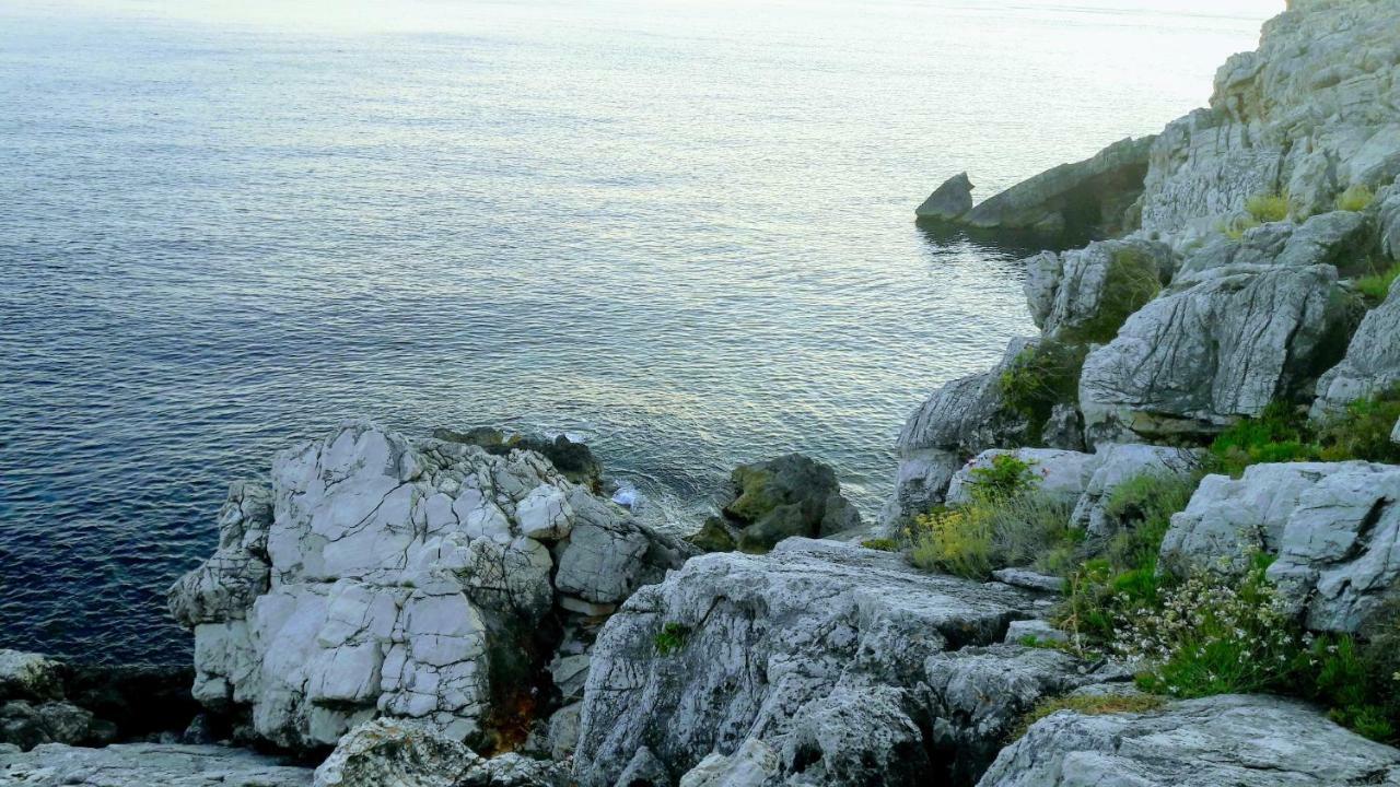 Authentic Ap For 2, Babino Polje,Mljet Apartment Exterior photo