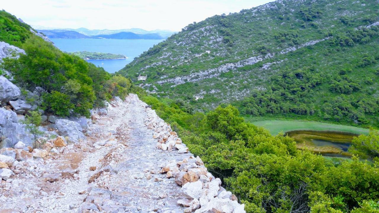 Authentic Ap For 2, Babino Polje,Mljet Apartment Exterior photo